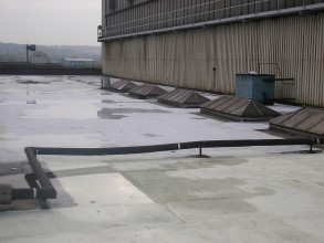 可在冬季和夏季敷涂 可在冬季和夏季敷涂